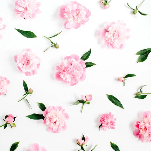 Blumenmuster von rosa Pfingstrosen — Stockfoto