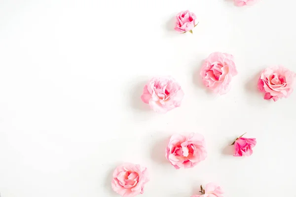 Rosa rosa brotes patrón — Foto de Stock