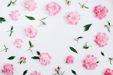 pembe Şakayık çiçekleri desen