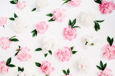 pembe Şakayık çiçekleri desen