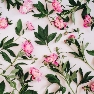 Çiçek desenli pembe Şakayık çiçekleri