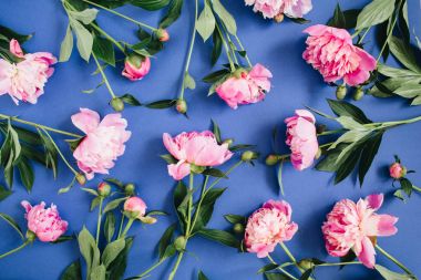 pembe Şakayık çiçekleri desen