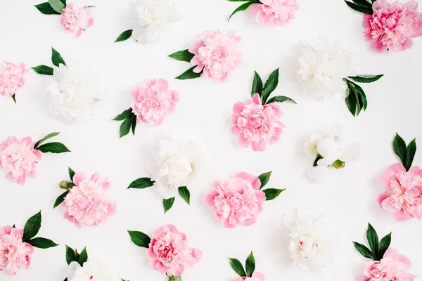 pembe Şakayık çiçekleri desen