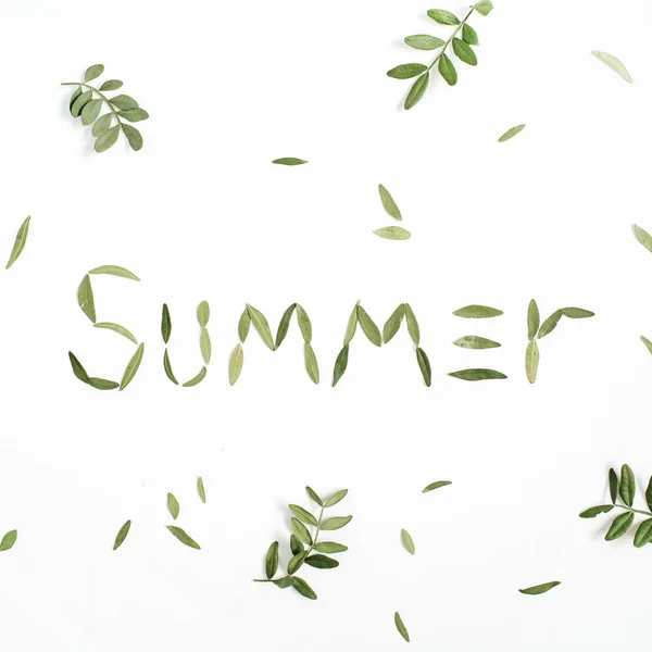 Word "Summer" made of green leaves — Stock Photo, Image