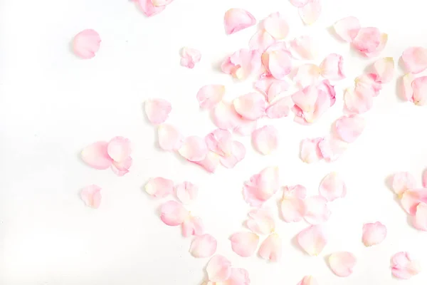 Rosa patrón pétalos de rosa —  Fotos de Stock