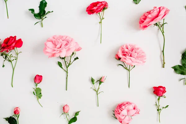 Muster aus rosa und roten Rosen — Stockfoto