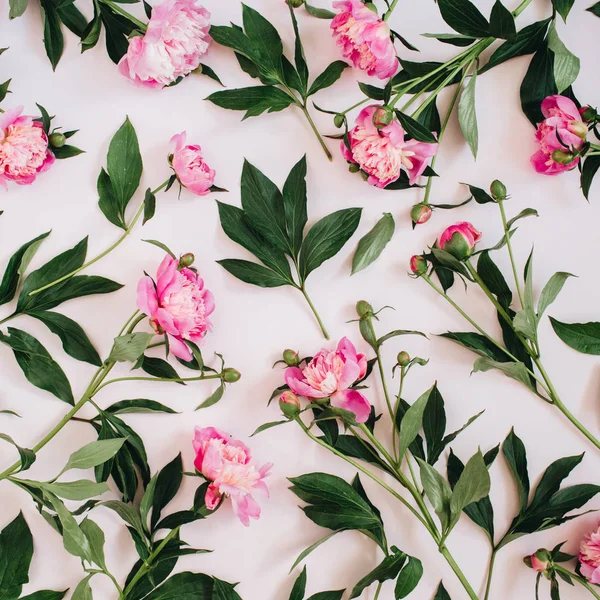Padrão floral de flores de peônia rosa — Fotografia de Stock