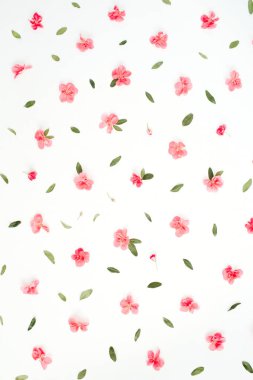 Metin için alanı olan çiçek çerçevesi 