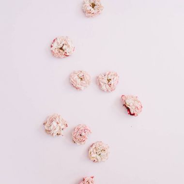 Pembe Gül tomurcukları desen