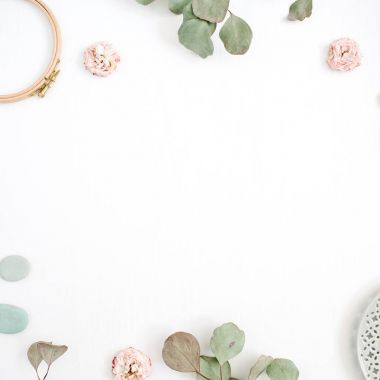 kenarlık çerçevesi ile okaliptüs dalları, plaka