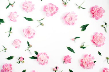 pembe Şakayık çiçekleri desen