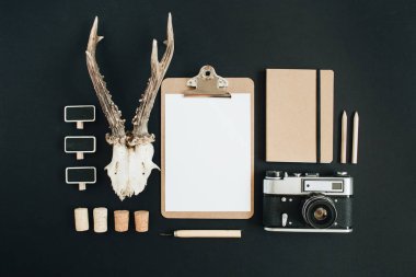 Keçi boynuzu, retro kamera, siyah Tebeşir tahtaya tebeşir 
