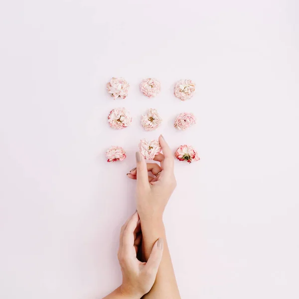 女孩的手抱着粉红色干玫瑰花蕾 — 图库照片