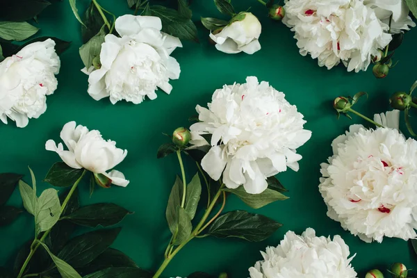 Mintával készült fehér bazsarózsa virágok — Stock Fotó