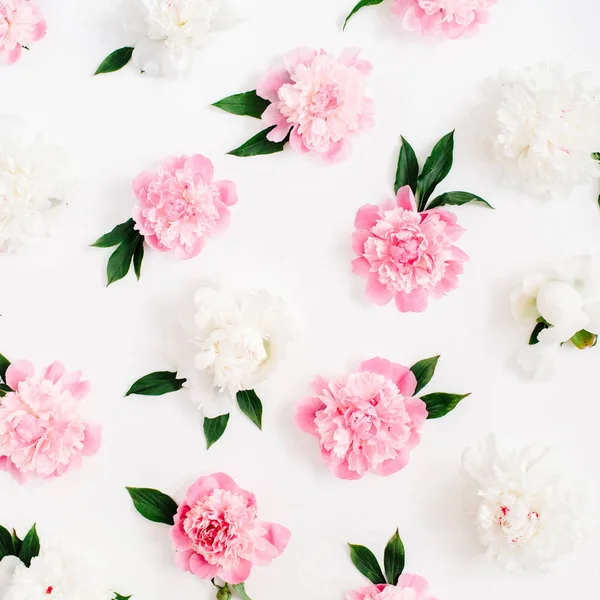 Padrão de flor de flores de peônia rosa e branca — Fotografia de Stock