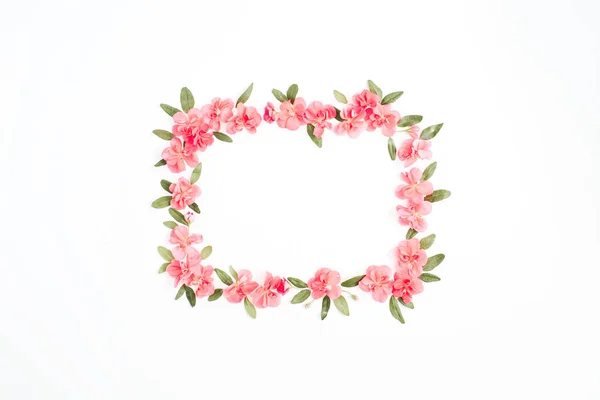 Floral frame with space for text made of pink hydrangea flowers — Stock Photo, Image