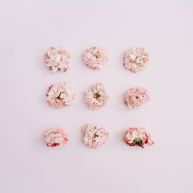 Pembe Gül tomurcukları desen