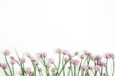 Kır çiçeği çiçek desenle, yeşil yapraklar, dallar