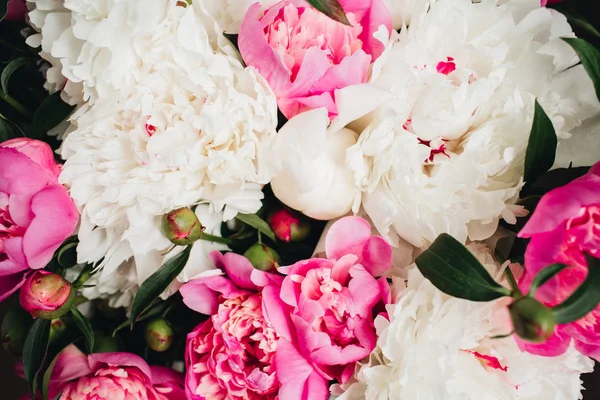 Yakın çekim Şakayık beyaz ve pembe çiçek