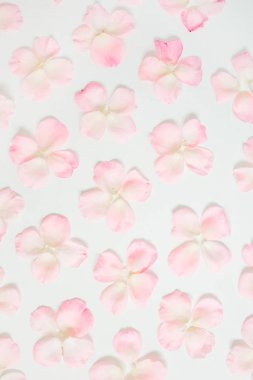 Pembe gül yaprakları desen