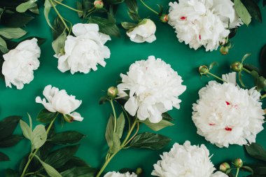 Beyaz Şakayık çiçekleri desen yaptı