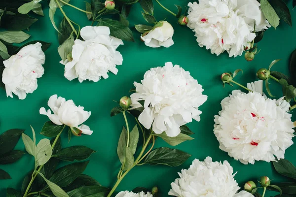 Beyaz Şakayık çiçekleri desen yaptı