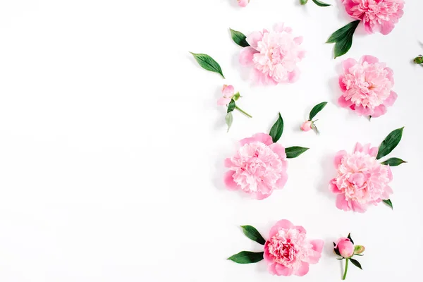 Blomstermønster av rosa ponni – stockfoto