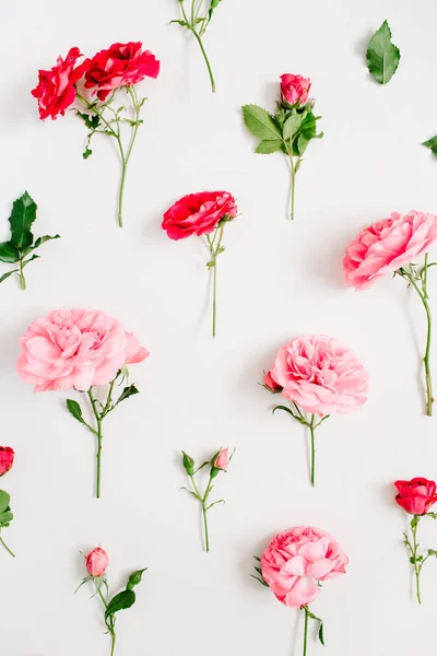 Patroon gemaakt van roze en rode rozen — Stockfoto