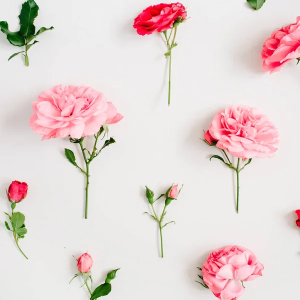 Pattern made of pink and red roses — Stock Photo, Image