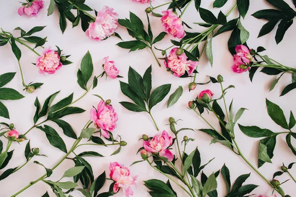 Blommigt mönster av rosa pion blommor — Stockfoto