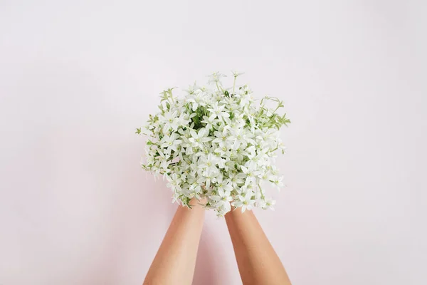 Mani della ragazza che tengono mazzo di fiori selvatici bianchi — Foto Stock