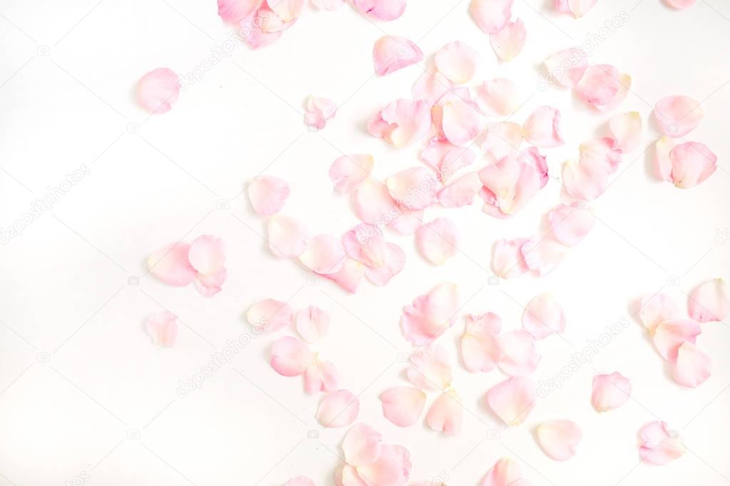 Pink rose petals pattern