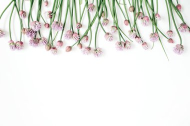 Kır çiçeği çiçek desenle, yeşil yapraklar, dallar