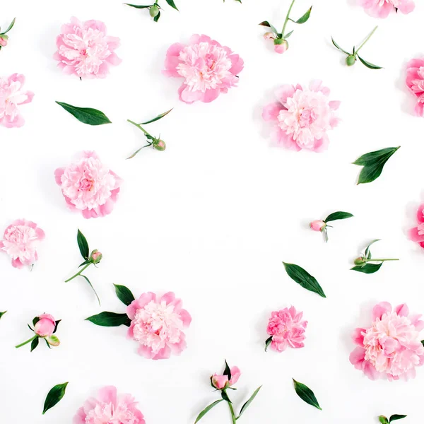 Peony çiçek çelenk çerçeve