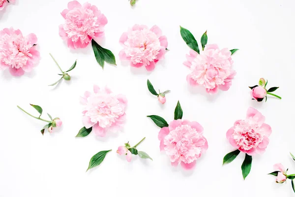Bloemenpatroon van roze pioen bloemen — Stockfoto