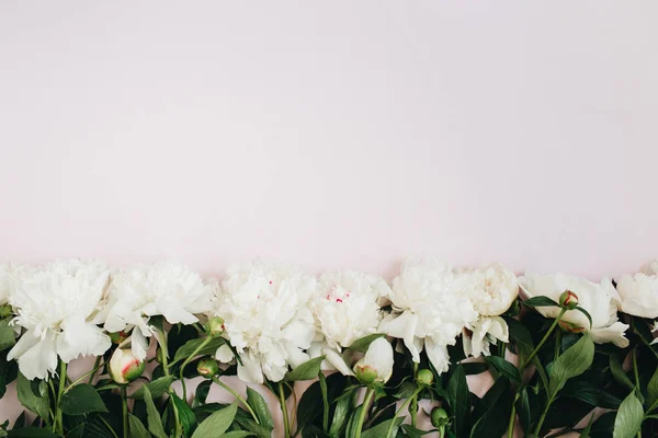 Çiçek desenli beyaz peonies yapılan — Stok fotoğraf