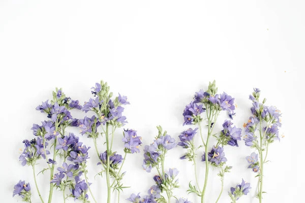 Květinový vzor s bluebell květy, zelené listy — Stock fotografie