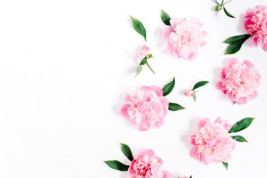 Pembe peony çiçek çiçek deseni