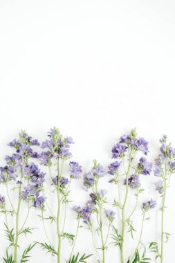 Çiçek desenli bluebell çiçekli yeşil yaprakları