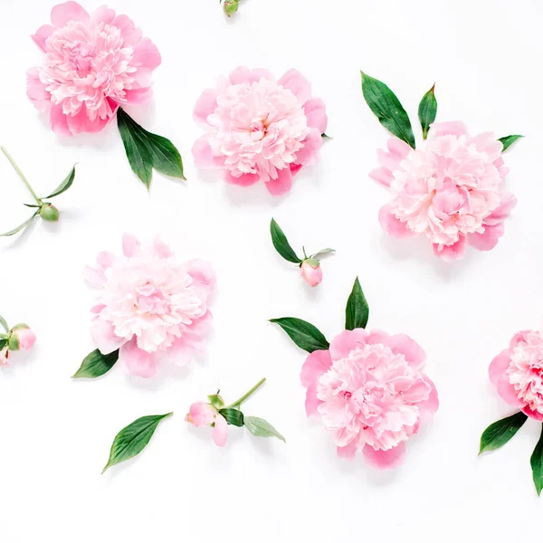 Bloemenpatroon van roze pioen bloemen — Stockfoto