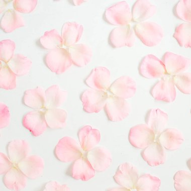 Pembe gül yaprakları desen