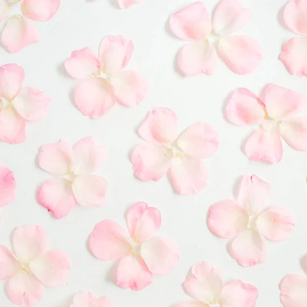 Rosa patrón pétalos de rosa —  Fotos de Stock