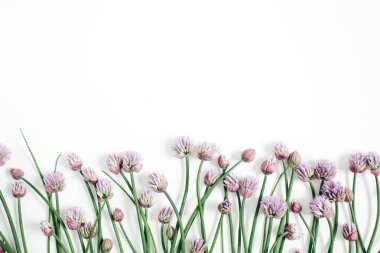 Kır çiçeği çiçek desenle, yeşil yapraklar, dallar