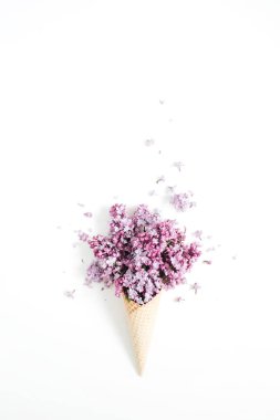 Gözleme koni Eflatun çiçekli