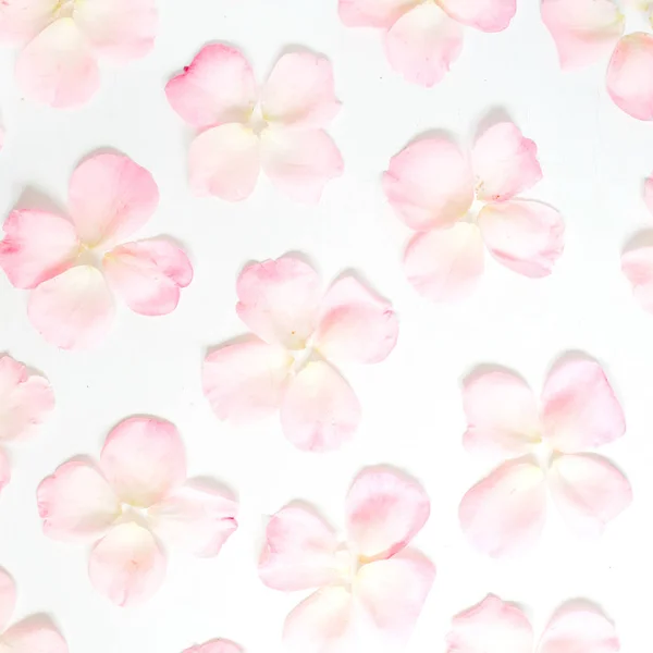 Pink rose petals pattern