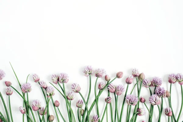 Kır çiçeği çiçek desenle, yeşil yapraklar, dallar