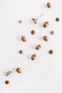 Beyaz arka plan üzerinde meşe palamutları desen