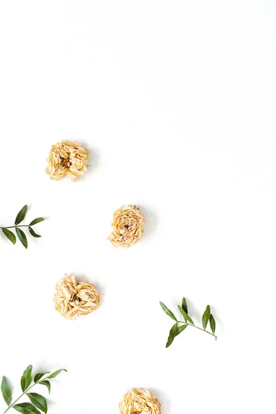 Blumenrahmen aus trockenen pastellbeigen Rosen — Stockfoto