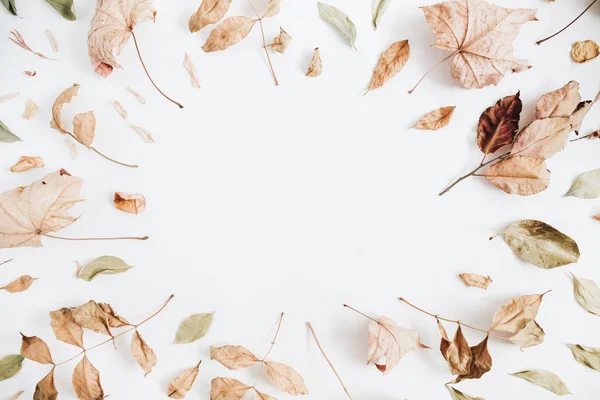 Rahmen aus trockenen Herbstblättern — Stockfoto