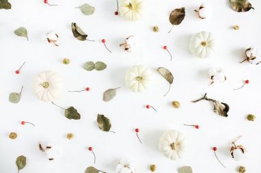 Beyaz pumpkins, kırmızı meyveler ve okaliptüs dalları